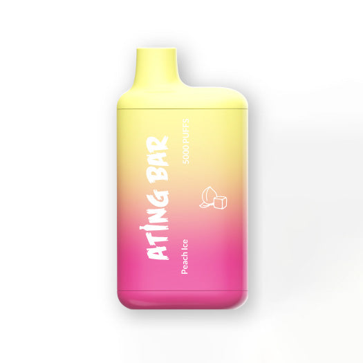 5000 Puffs Rechargeable Disposable Vape by Atingbar